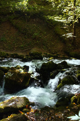 Mountain summer landscape. Canyon in Montenegro.	