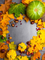 Festive autumn decor from pumpkins, berries acorns, chesnuts, leaves on a grey concrete background. Concept of Thanksgiving day or Halloween. Flat lay autumn composition.