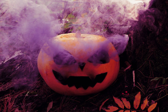 Halloween Pumpkin With A Carved Scary Muzzle And Purple Smoke Coming From The Eye Sockets. Forest..