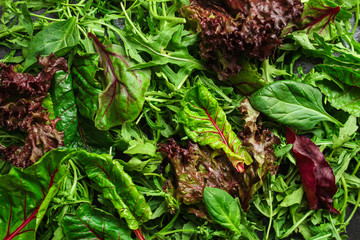 Healthy salad, leaves mix salad (mix micro greens, juicy snack). food background. copy space. Top...