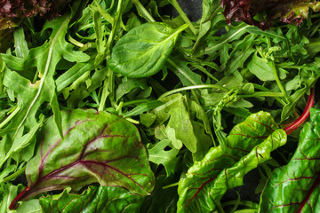 Healthy salad, leaves mix salad (mix micro greens, juicy snack). food background. copy space. Top view