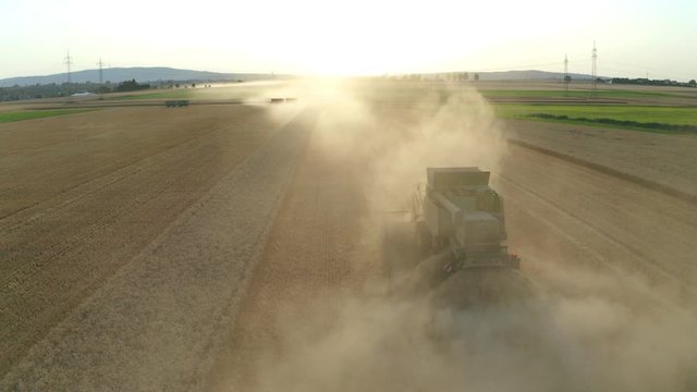 Tracking shot of farmer harvesting crop