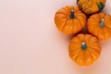 Creative Top view flat lay pumkin composition.