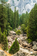 Fototapeta na wymiar Hiking in the Yosemite National Park 