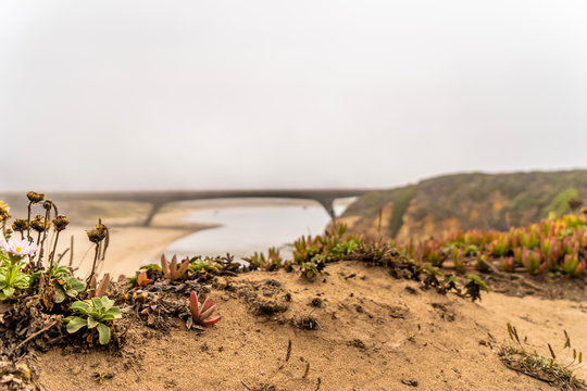 Beautiful foggy monring on the coast of California USA