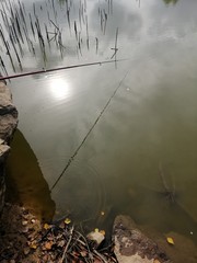 fishing in the lake