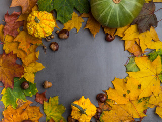 Naklejka na ściany i meble Autumn background with colorful maple leaves and pumpkins, corns, chesnuts, Frame of fall harvest with copy space. Mockup for seasonal offers and holiday post card