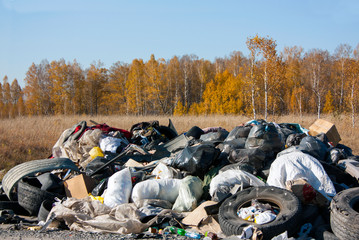 A large pile of garbage in the autumn forest. Tires, plastic bags in white and black, bottles, bags, boxesю Environmental pollution