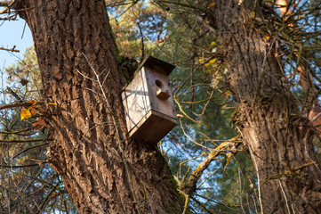 bird house in the autumn forest