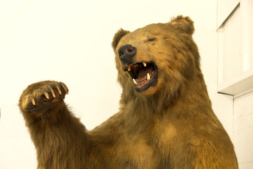 Stuffed brown bear in a fierce pose
