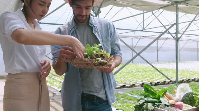 4k slow handheld asian female partner with caucasian farmer discussing about business in hydroponics vegetable greenhouse farm with happiness and joyful in row of plants background