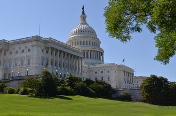 The Capitol in Washington D.C. in the east coast of united states