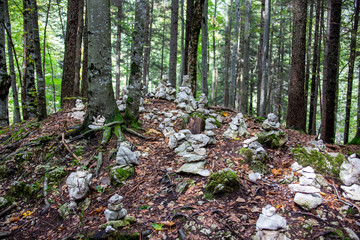 Steinmännchen im Wald
