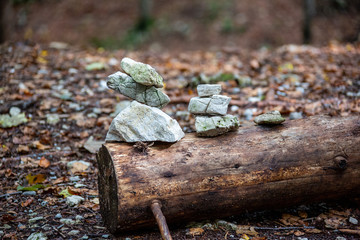 Steinmännchen im Wald