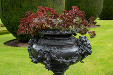 A large and highly decorative garden urn planted with flowers - obrazy, fototapety, plakaty