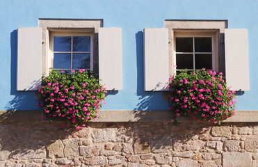 two windows with shutters and geraniums