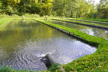 fish ponds, artificial reproduction of salmon in the mountains. pools with running water. increase...