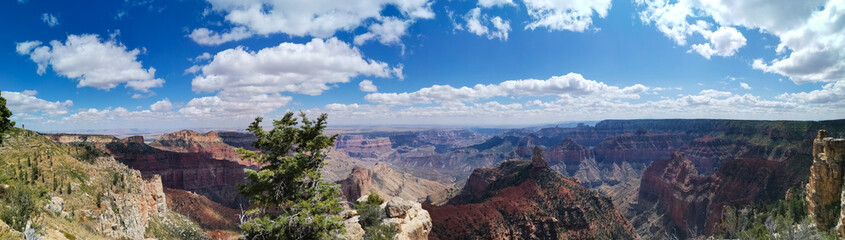 Fototapeta na wymiar Amazing view over the Grand Canyon in Utah USA
