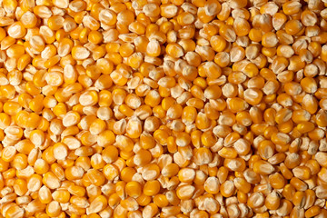 Corn