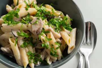 Cooked cream pasta with porcini mushrooms (Boletus edible)