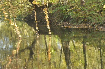 Spokojna jesień nad wodą
