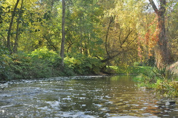 Rzeka płynąca przez jesienny park
