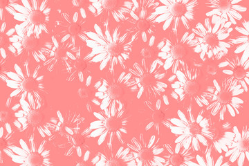 drawing of flowers, texture