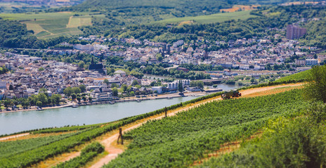 Panoramic view of city by river and vineyards. Tourism theme in Germany. Work of tractor in vineyard overlooking Rhine river and city Rudeshaim. Agricultural theme in small European cities.