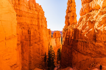 Beautiful Bryce Canyon in Utah USA