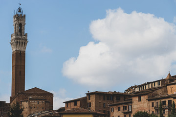 Fototapeta na wymiar Landscape of Siena with Torre del Mangia 