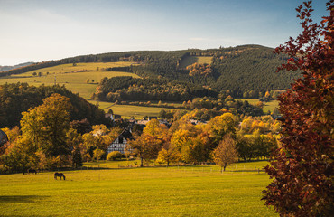 Fototapeta premium Bruchhausener Steine im Sauerland