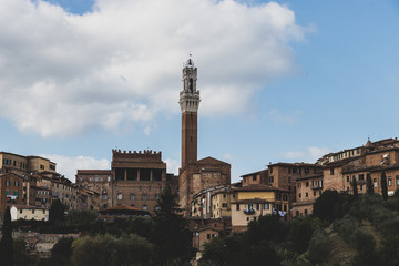 Obraz premium Landscape of Siena with Torre del Mangia 