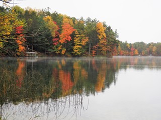Fall Tree Colors Reflected in Water of Cub Lake