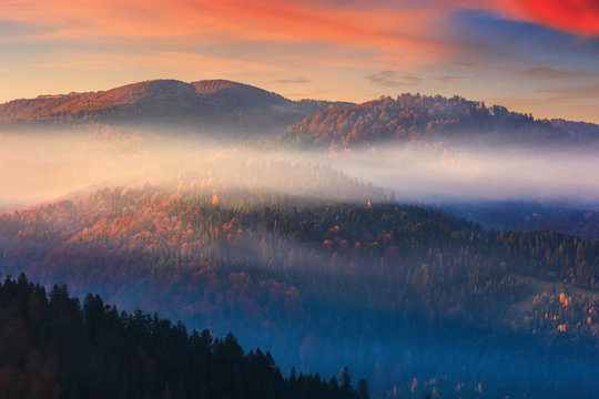 foggy dawn in mountains. fantastic nature scenery in fall season. glowing mist above the hills. magic moment in autumn