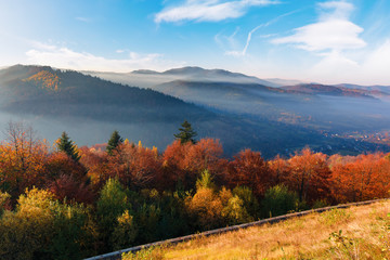 foggy sunrise in carpathian mountains. stunning nature scenery in fall season. trees in red and orange foliage. slope in weathered grass. distant ridge in misty atmosphere beneath a blue sky