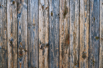 Wooden wall texture, old wood background