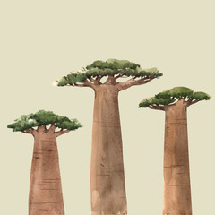 Watercolor vector baobab adansonia african tree illustrations - obrazy, fototapety, plakaty