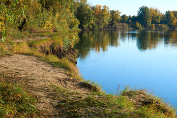 Fototapeta premium autumn landscape of river and bright trees and bushes
