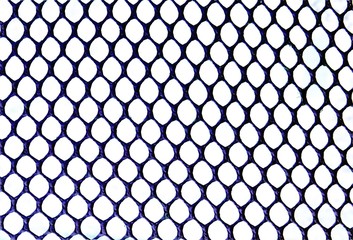 Fototapeta premium the texture of a color fence net