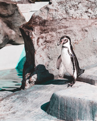 L&auml;cheln und Winken M&auml;nner