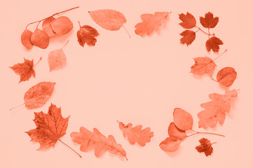 Autumn flat lay background with leaves on pink.