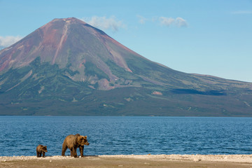 View of Kurile lake against the backdrop of the Ilyinsky volcano in Kamchatka region of Russia