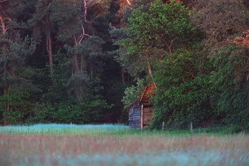 Old wooden barn in bushy countryside.