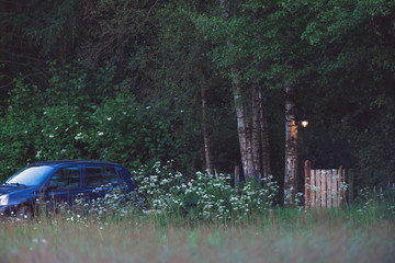 Garden gate and lantern in bushy countryside at dusk.