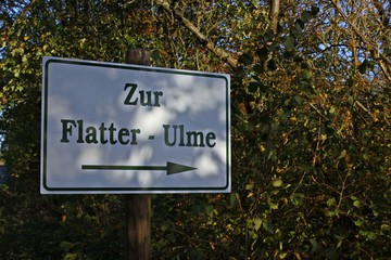 Wegweiser zur Flatterulme in Nordhessen
