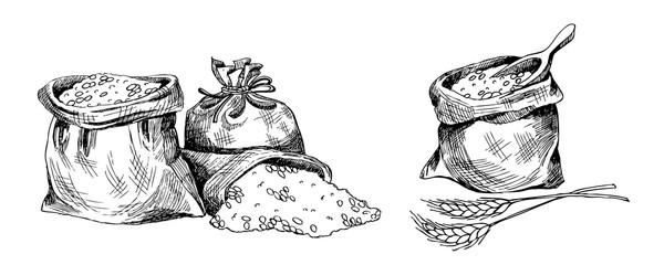 Sketch on the subject of sacks of grain, bread spike, wheat, rye, hand-drawn illustration.