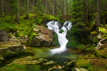 Majestic and beautiful waterfall in the wild forest from Retezat Mountains. The green paradise, deep in the forest.