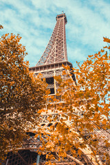 Eiffel Tower immersed in yellow autumn foliage against a blue sky - bottom view