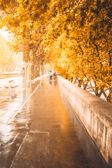 Naklejka na ściany i meble Rainy cloudy autumn day on the city alley