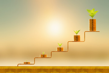 Stacking five gold coin and plant with growing on golden steps on sunlight background, Business...